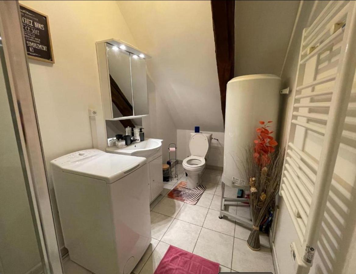 Appartement Avec Parking Gratuit Et Wifi Vierzon Zewnętrze zdjęcie