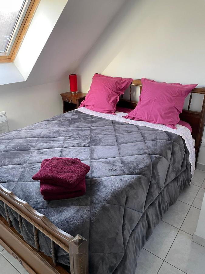 Appartement Avec Parking Gratuit Et Wifi Vierzon Zewnętrze zdjęcie