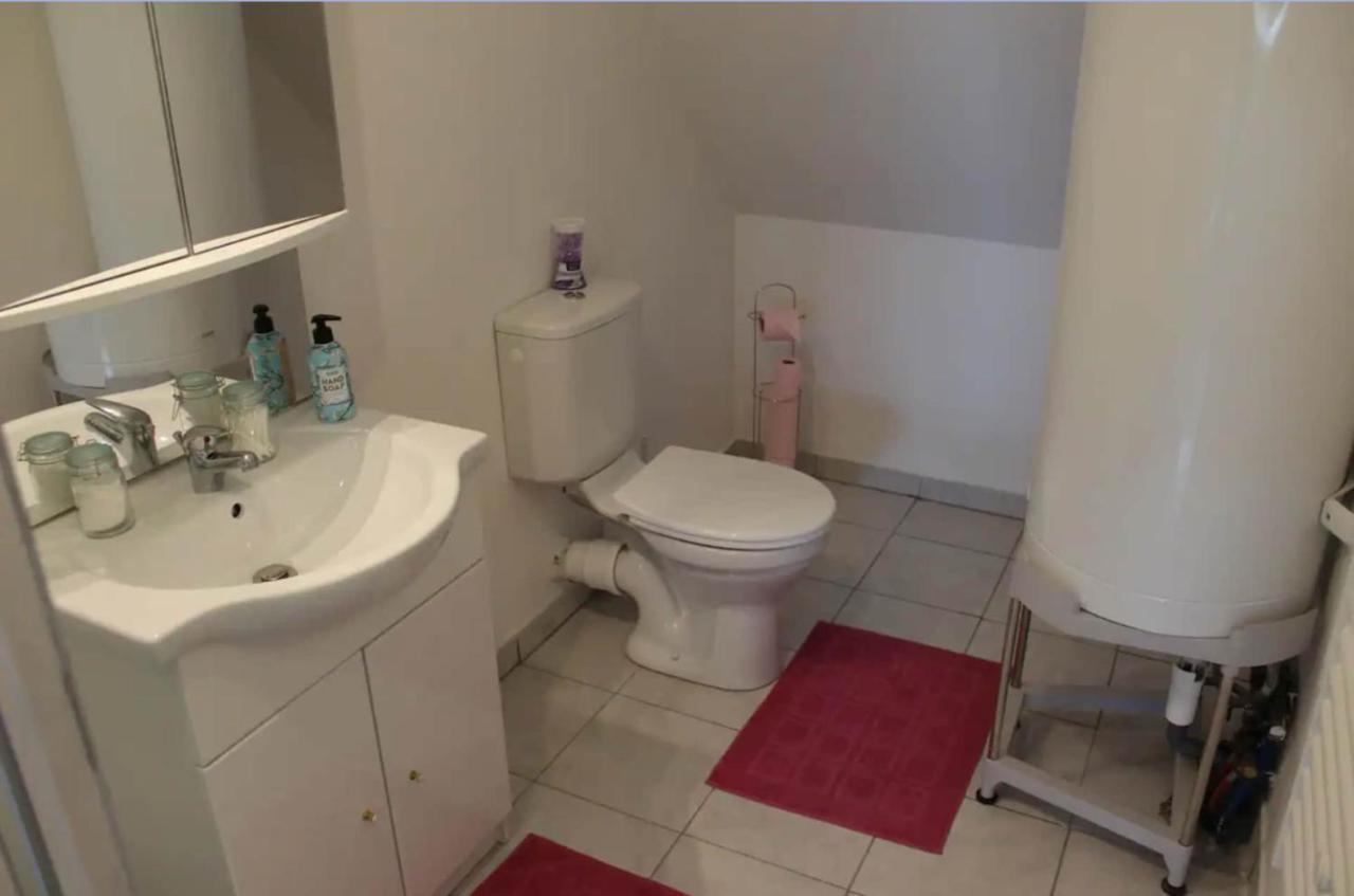 Appartement Avec Parking Gratuit Et Wifi Vierzon Zewnętrze zdjęcie